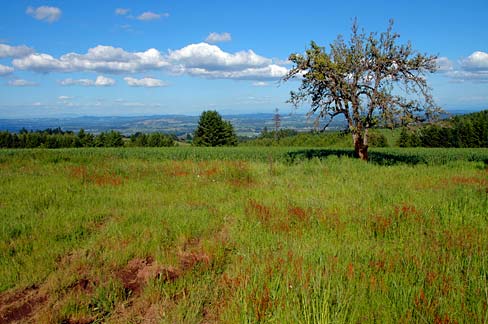 24 Things to Do in Hillsboro, Oregon