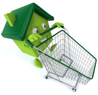 Harness the Power of Green: Eco-friendly Products for your Home