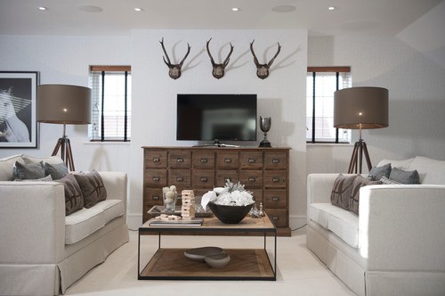 Family Room Organization Ideas