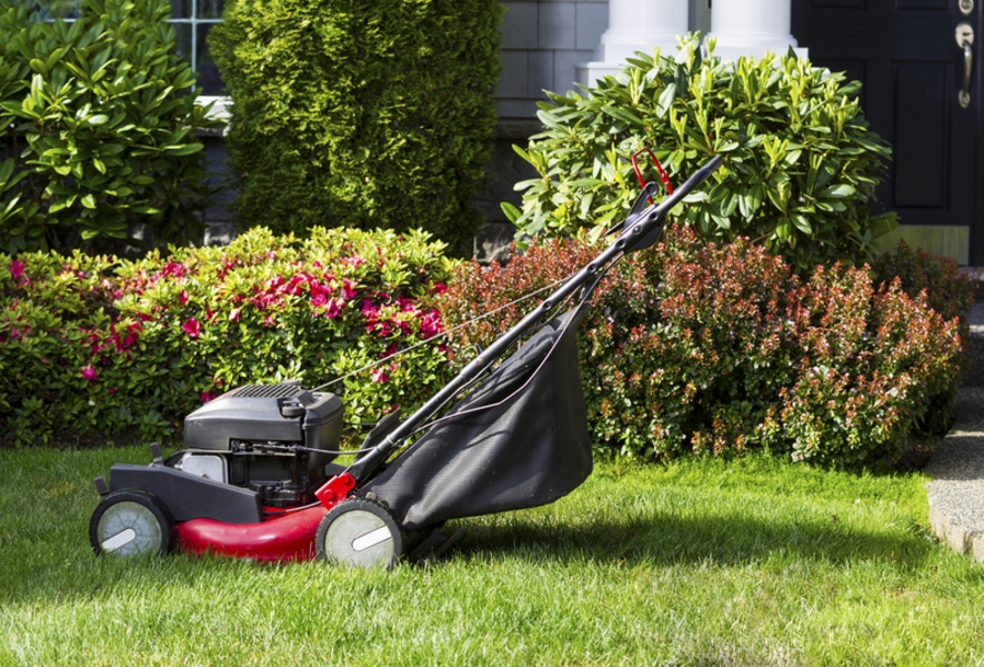 7 Quick & Easy Garden Makeover Tips