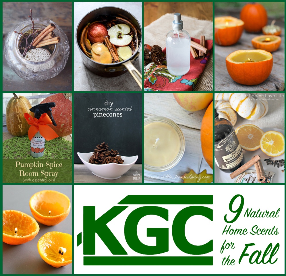 9 Natural Home Scents for the Fall