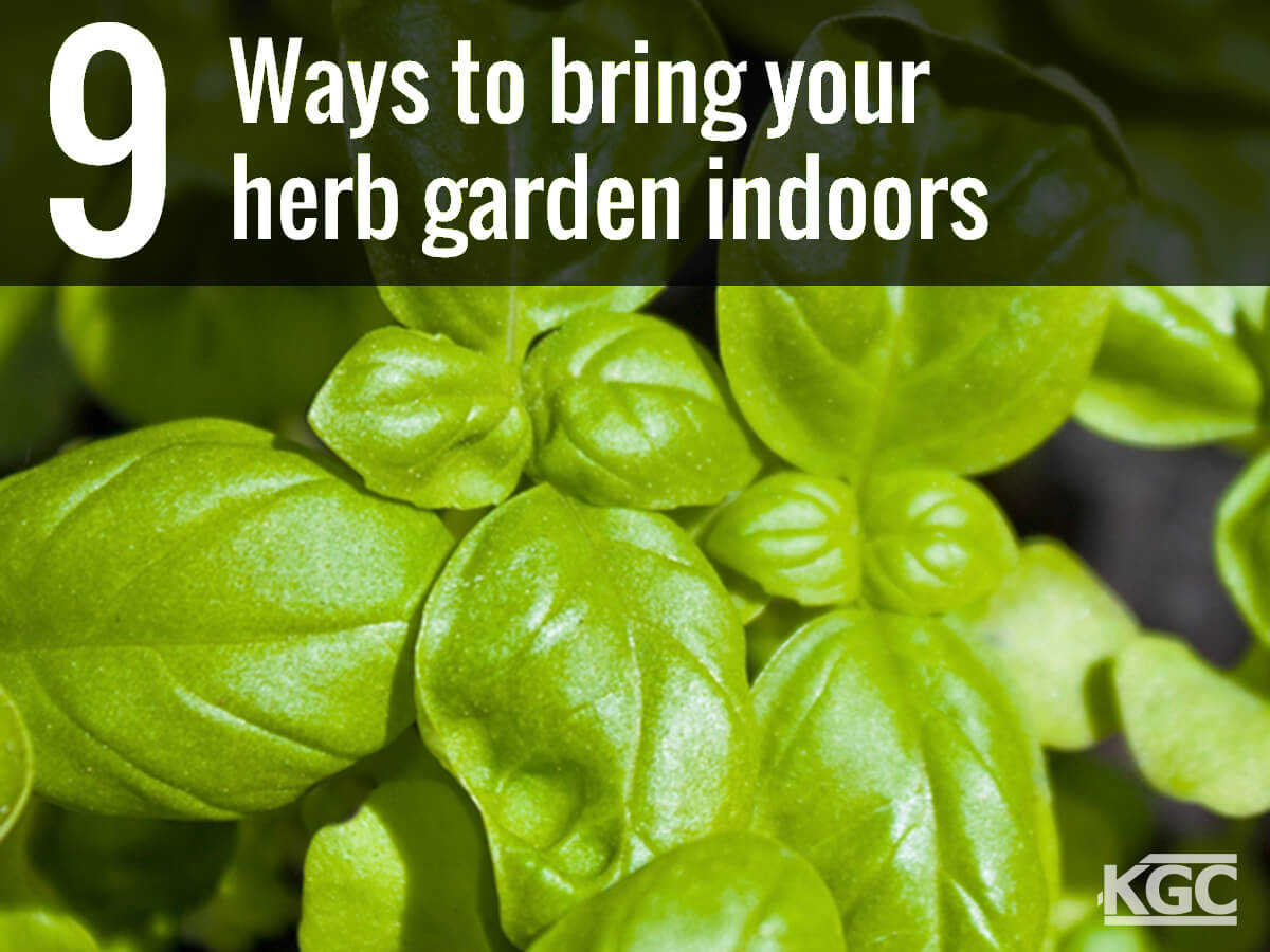 9 Ways to Bring your Herb Garden Indoors