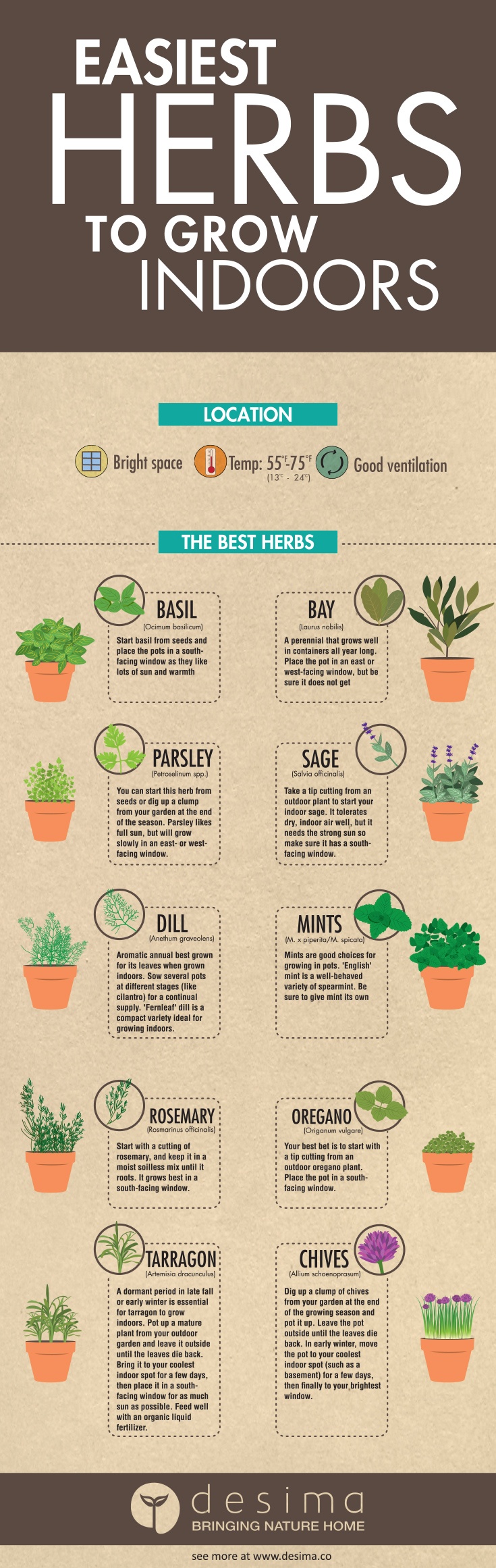 indoor herb garden idea