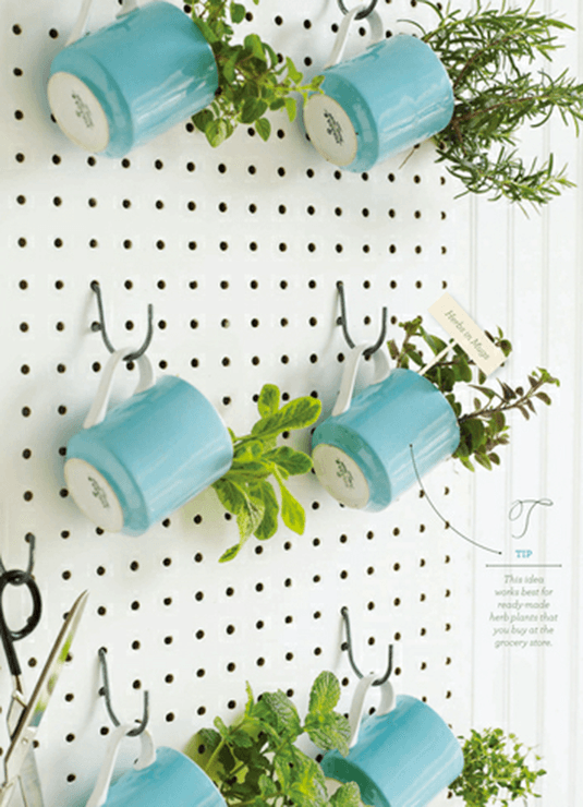 indoor herb garden idea
