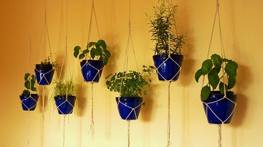 indoor herb garden idea