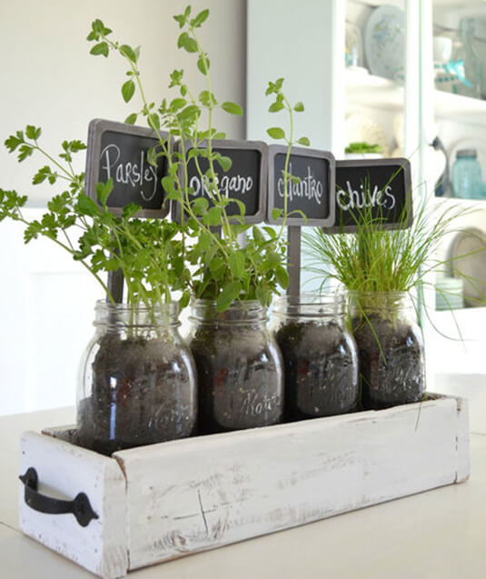 indoor herb garden idea