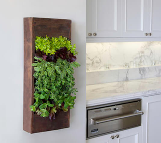 indoor herb garden idea