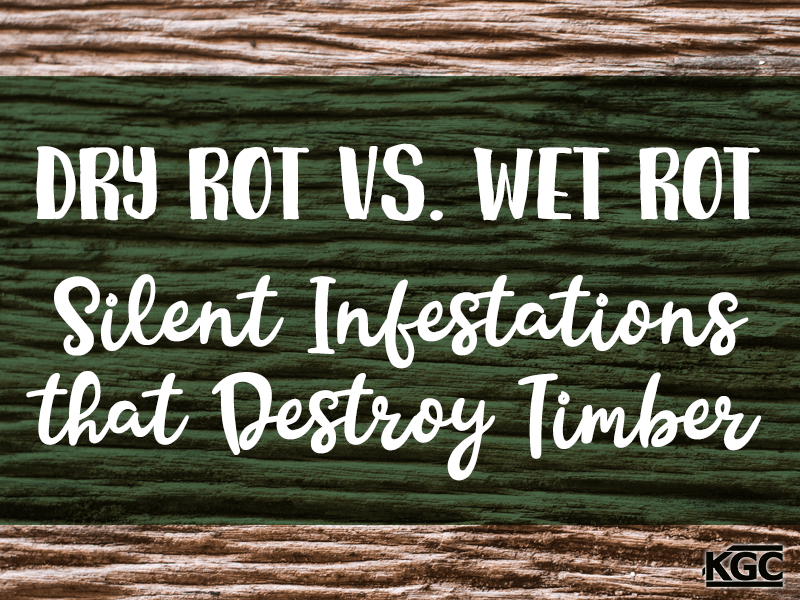 Dry Rot Versus Wet Rot: Silent Infestations that Destroy Timber