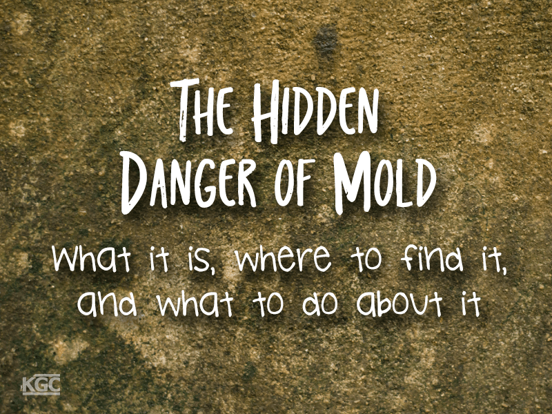 The hidden danger of mold:  what it is, where to find it,  and what to do about it